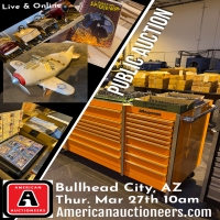 bullhead-auction-1741069977.jpeg