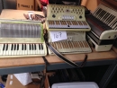 vintage-white-accordions-4-1424551310.jpg