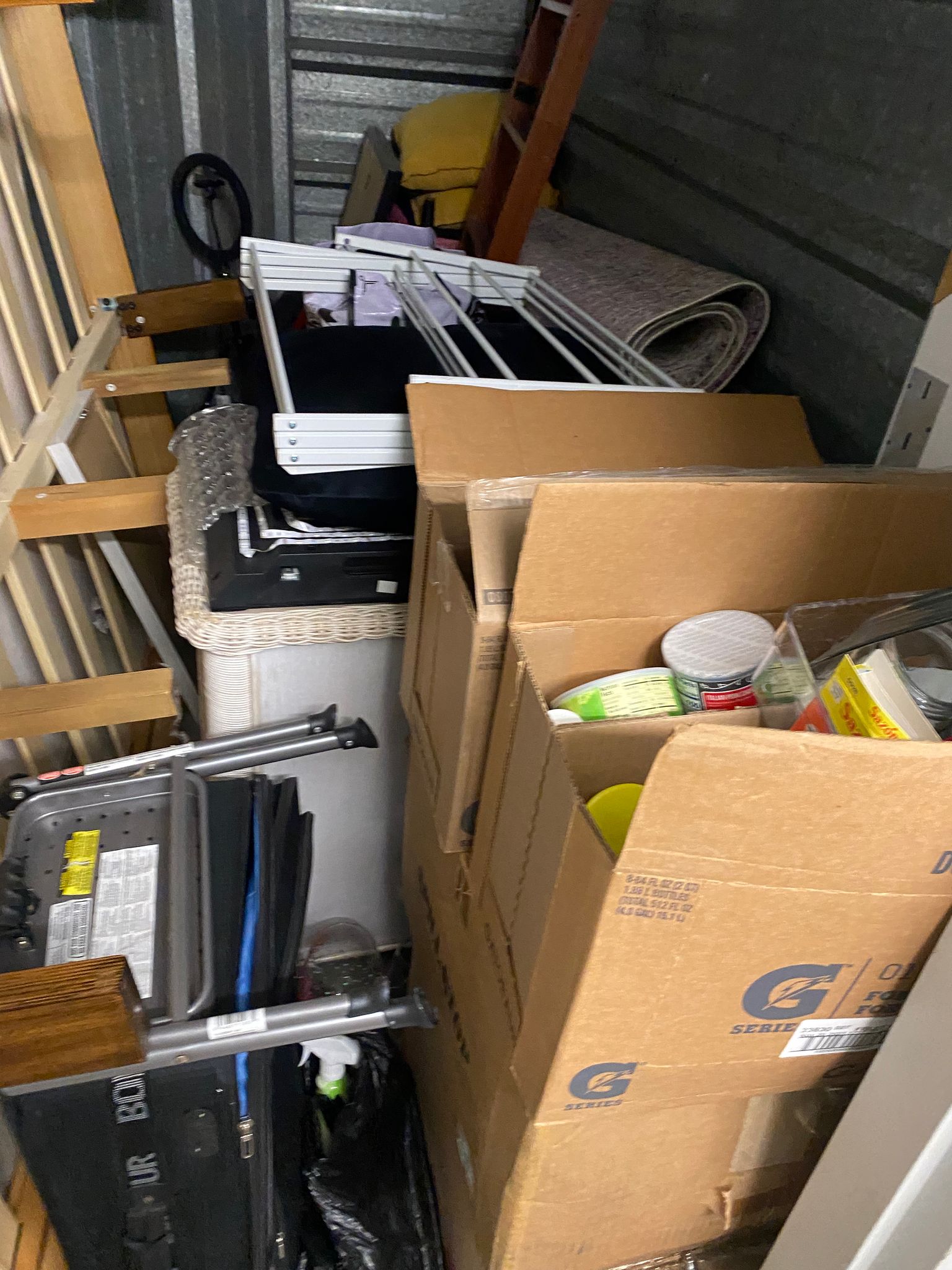 b3078-murphy-1637699283.jpeg