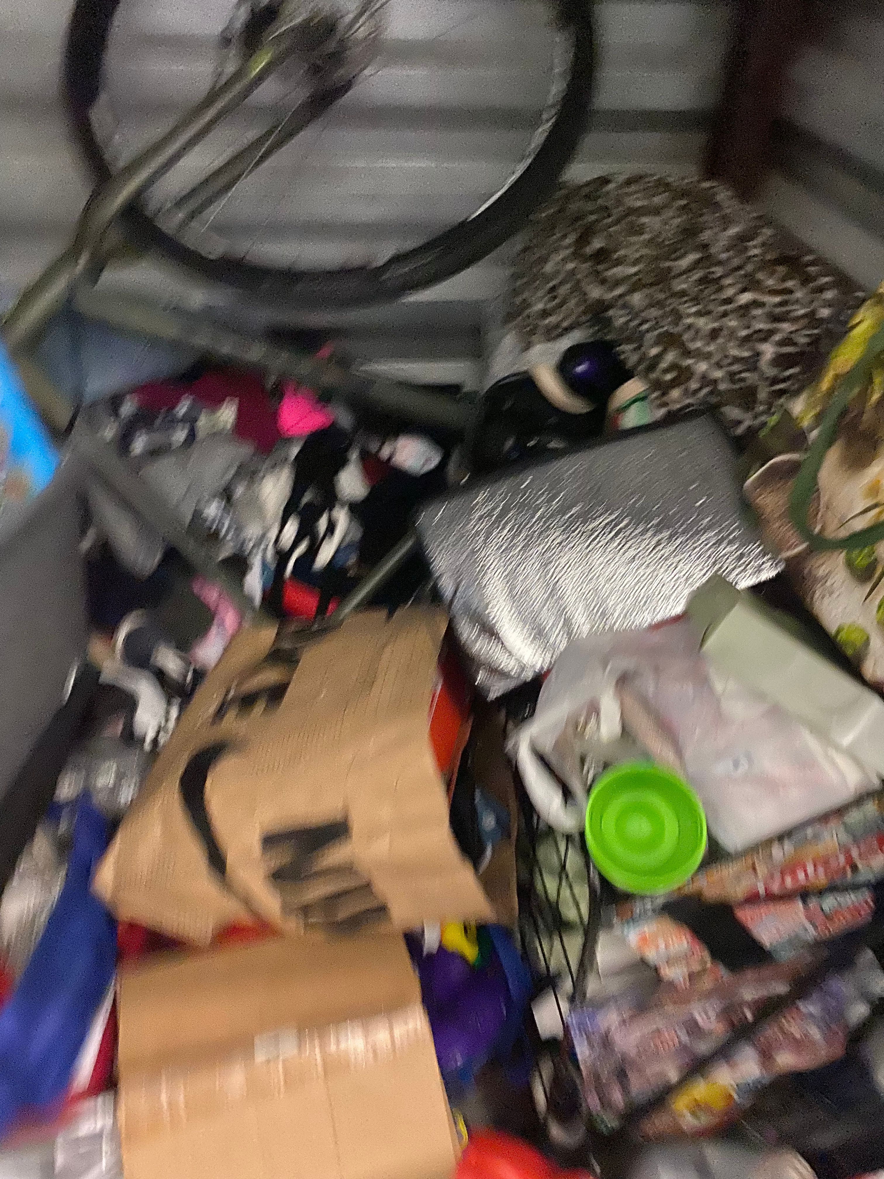 i220-murphy-16376987882.jpeg