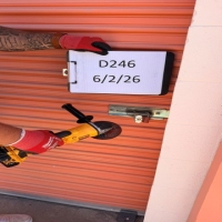 d246-1783140811.jpeg