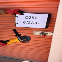 d256-1783140871.jpeg